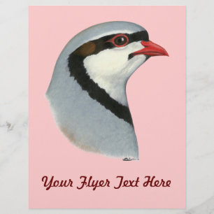 Flyer Chukar: Cabeza de perdigón