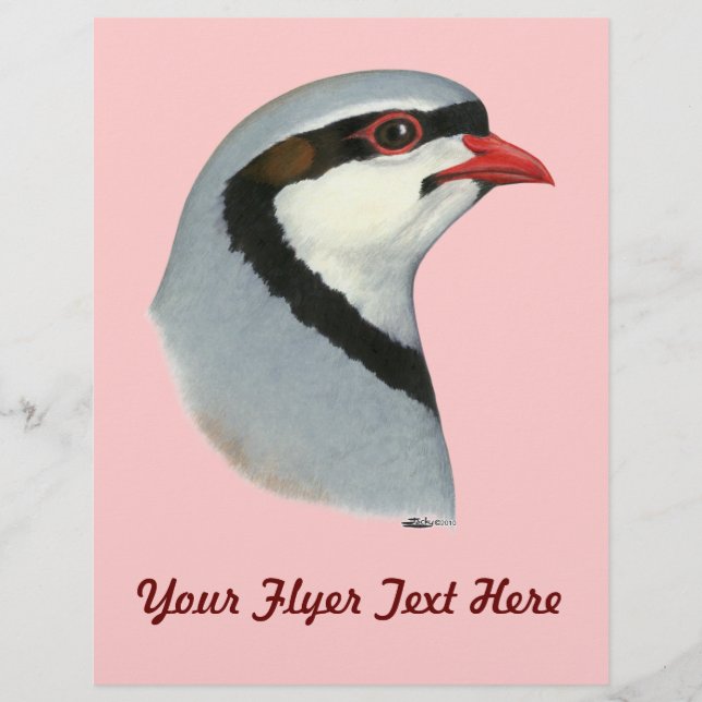 Flyer Chukar: Cabeza de perdigón (Frente)