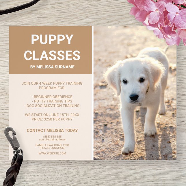 Flyer Clases de Cachorro de Cachorro de Personalizado de (Subido por el creador)