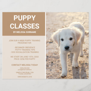 Flyer Clases personalizadas de cachorros de Golden Retri
