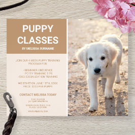 Flyer Clases personalizadas de cachorros de Golden Retri