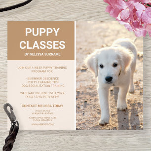 Flyer Clases personalizadas de cachorros de Golden Retri