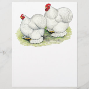 Flyer Cochin: Bantams blancos