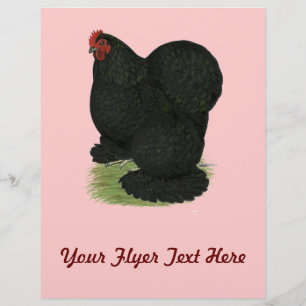 Flyer Cochin: Hen negro