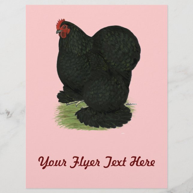 Flyer Cochin: Hen negro (Frente)