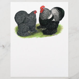 Flyer Cochins: lápices de plata