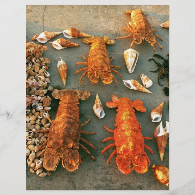 Flyer Conchas (Frente)