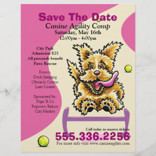 Flyer Concurso de Agilidad Canina Evento Beneficio Morad