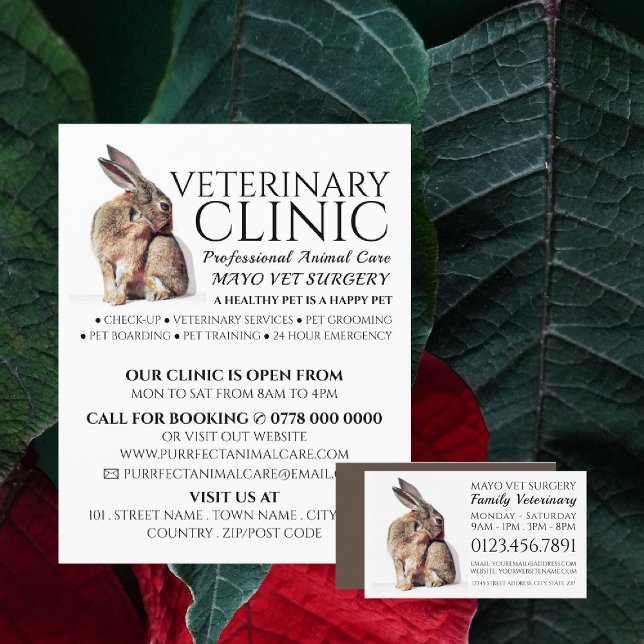 Flyer Conejo, Veterinario, Servicio Veterinario (Subido por el creador)
