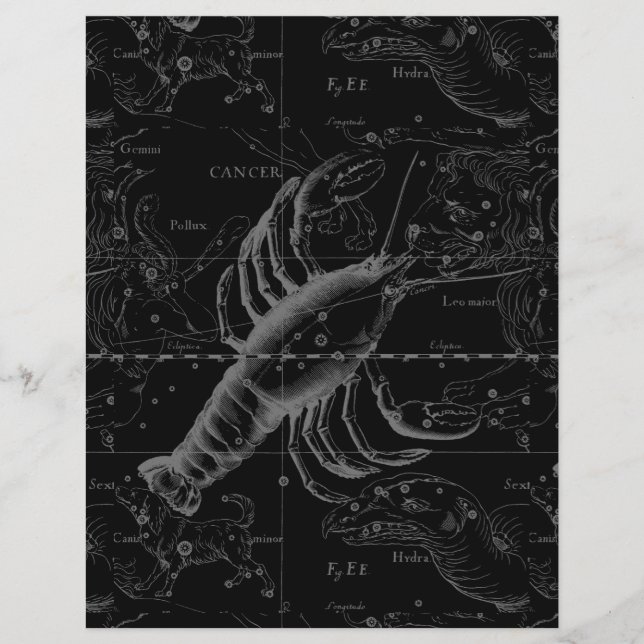 Flyer Constelación de cáncer Hevelius 1690 Decor (Frente)