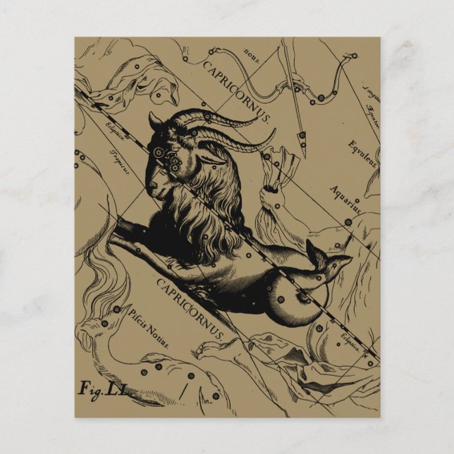 Flyer Constelación de Capricornio Hevelius 1690 en Taupe (Frente)