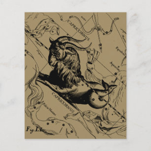 Flyer Constelación de Capricornio Hevelius 1690 en Taupe