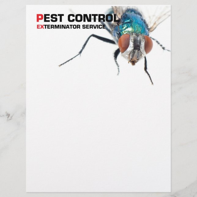 Flyer Control de plagas (Frente)