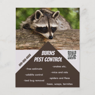 Flyer Control de plagas editable