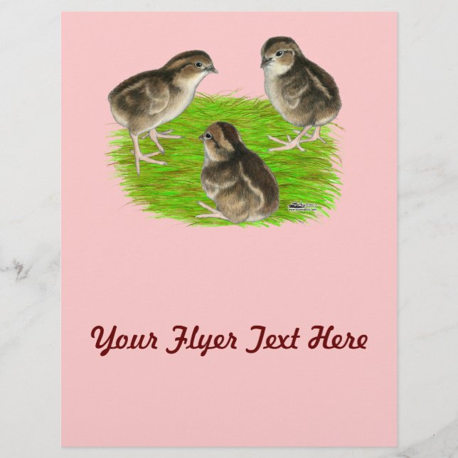 Flyer Costillas de codorniz blanco Bobwhite (Frente)