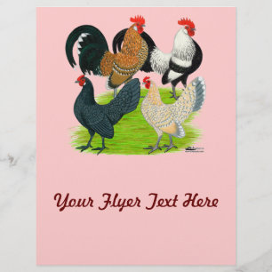 Flyer Cuarteto holandés Bantam