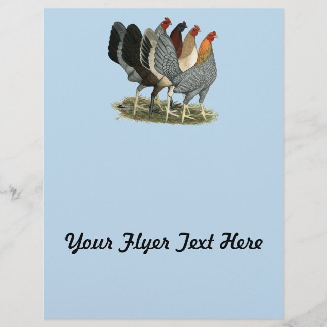 Flyer Cuatro gallinas de combate (Frente)
