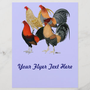 Flyer Cuatro Gamecocks