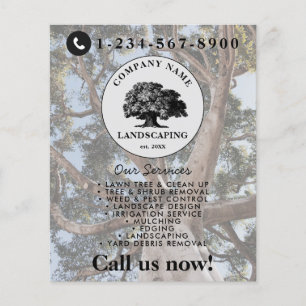 Flyer Cuidado de césped jardinería jardín cuidado de cés