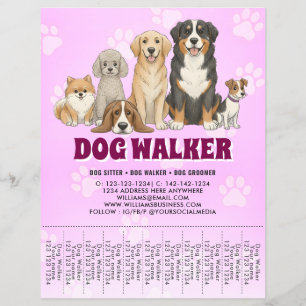 Flyer Cuidado de Mascotas Paseador de Perros Promocional