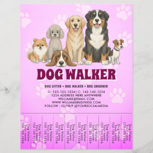 Flyer Cuidado de Mascotas Paseador de Perros Promocional