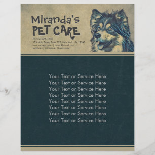 Flyer Cuidados de mascotas Sitting Adorable Cartog Ilust
