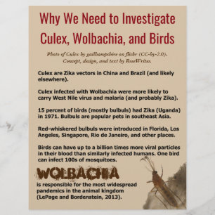Flyer Culex, Wolbachia y Aves de RoseWrites