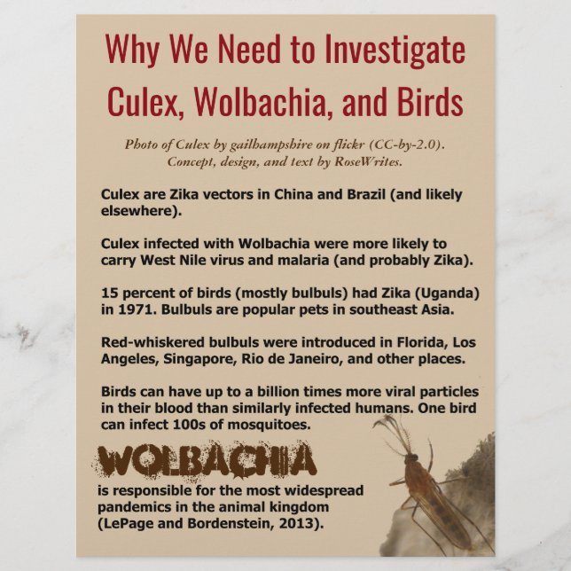 Flyer Culex, Wolbachia y Aves por RoseWrites (Frente)