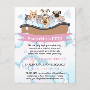 Flyer Cutest Dogs Cats Spa Sitter Groom PetCare Services