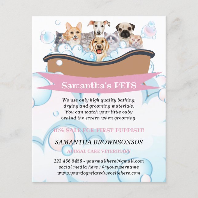 Flyer Cutest Dogs Cats Spa Sitter Groom PetCare Services (Frente)
