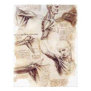 Flyer da Vinci — Esbozo de hombros