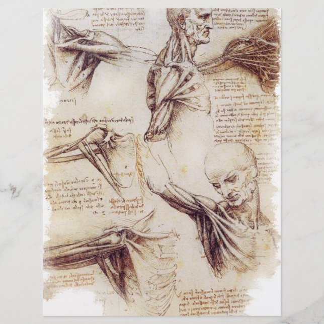 Flyer da Vinci — Esbozo de hombros (Frente)