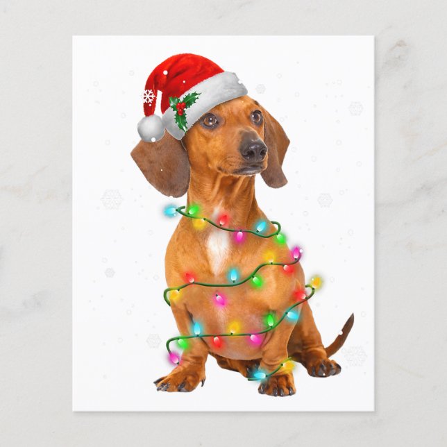 Flyer Dachshund Perros Árboles Navidades Sweater Xmas Re (Frente)
