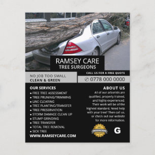 Flyer Daño de propiedad - Cirujano del árbol - Arborismo