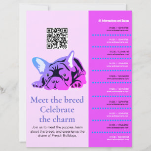 Flyer de encuentro de Bulldog Francés