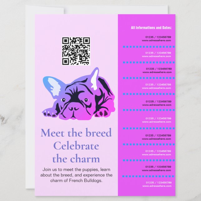 Flyer de encuentro de Bulldog Francés (Anverso)