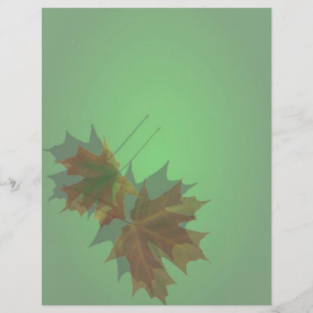 Flyer de Maple Leave (Frente)