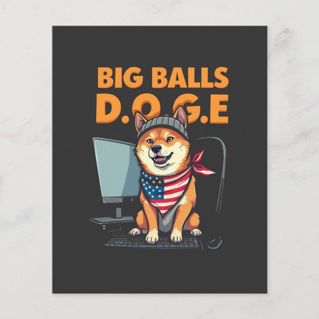 Flyer Departamento Doge de Eficiencia del Gobierno (Frente)