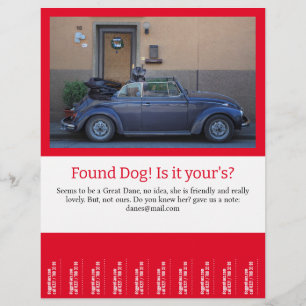 Flyer Desencadenar el perro encontrado