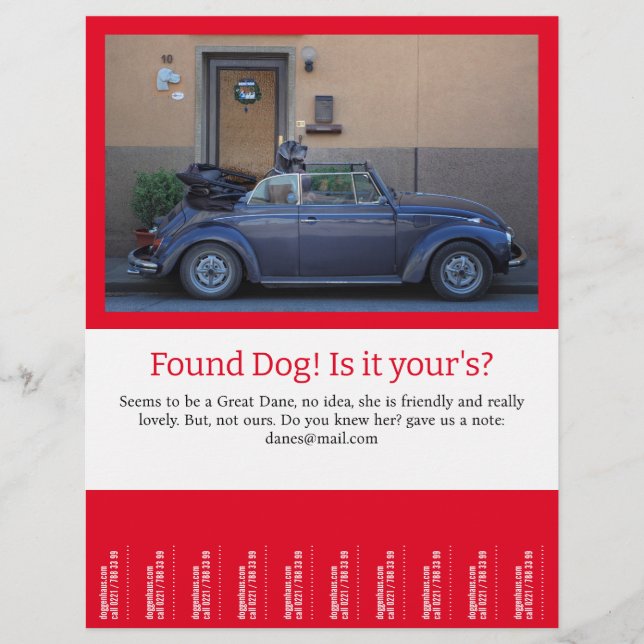 Flyer Desencadenar el perro encontrado (Frente)