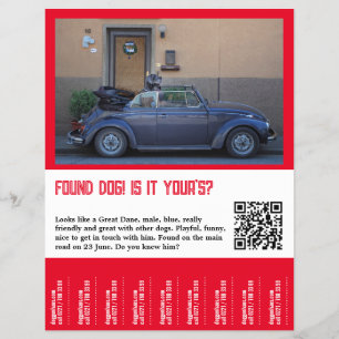 Flyer Desencadenar el perro encontrado
