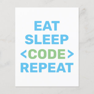 FLYER DEVELOPER  PROGRAMADOR   CODIFICACIÓN