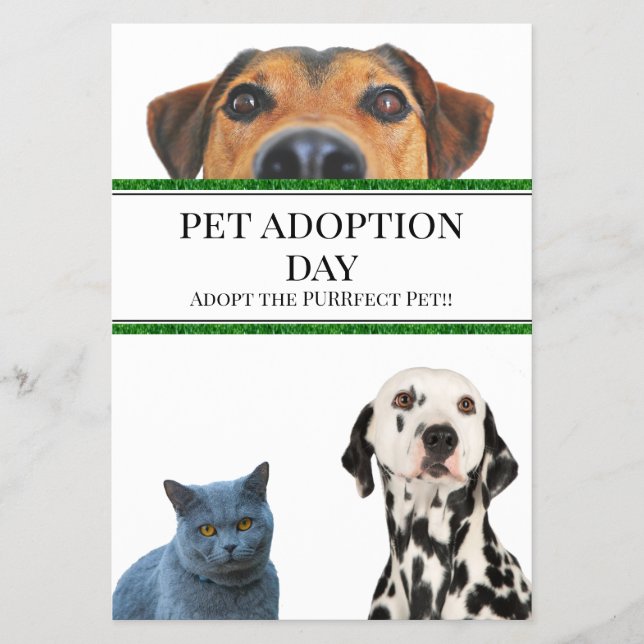 Flyer Día de Adopción mascota (Frente)