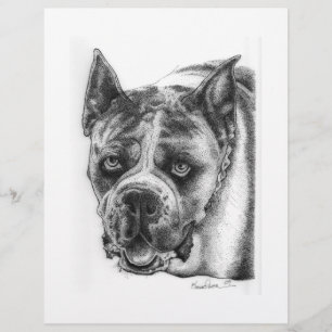 Flyer Dibujo de Boxer