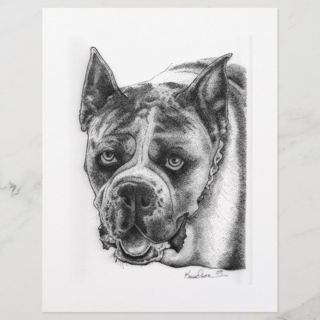 Flyer Dibujo de Boxer (Frente)