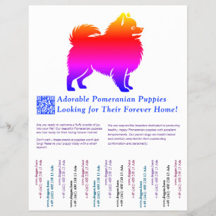 Flyer Dibujo de cachorro de Pomerania lleno de color 