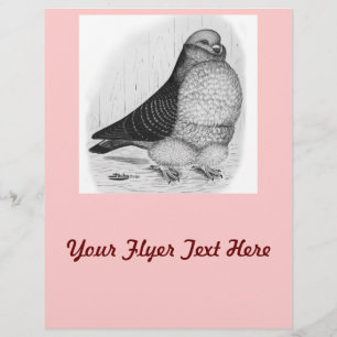 Flyer Dibujo de tinta de pichón de búho chino