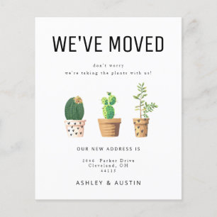 Flyer Diversión de la planta de presupuesto por amor hem