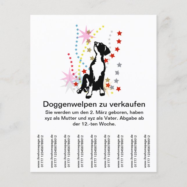 Flyer Doggenwelpen a la venta? (Frente)