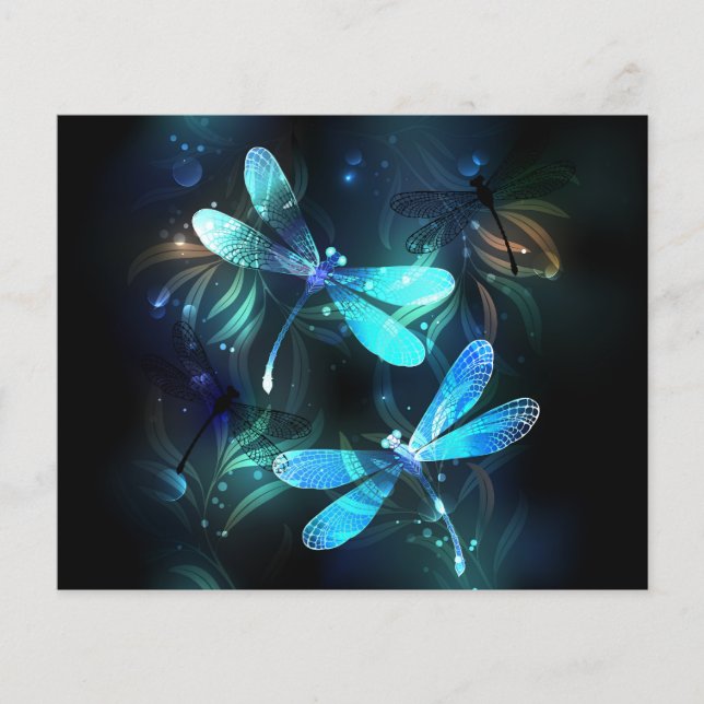 Flyer Dragonflies (Frente)